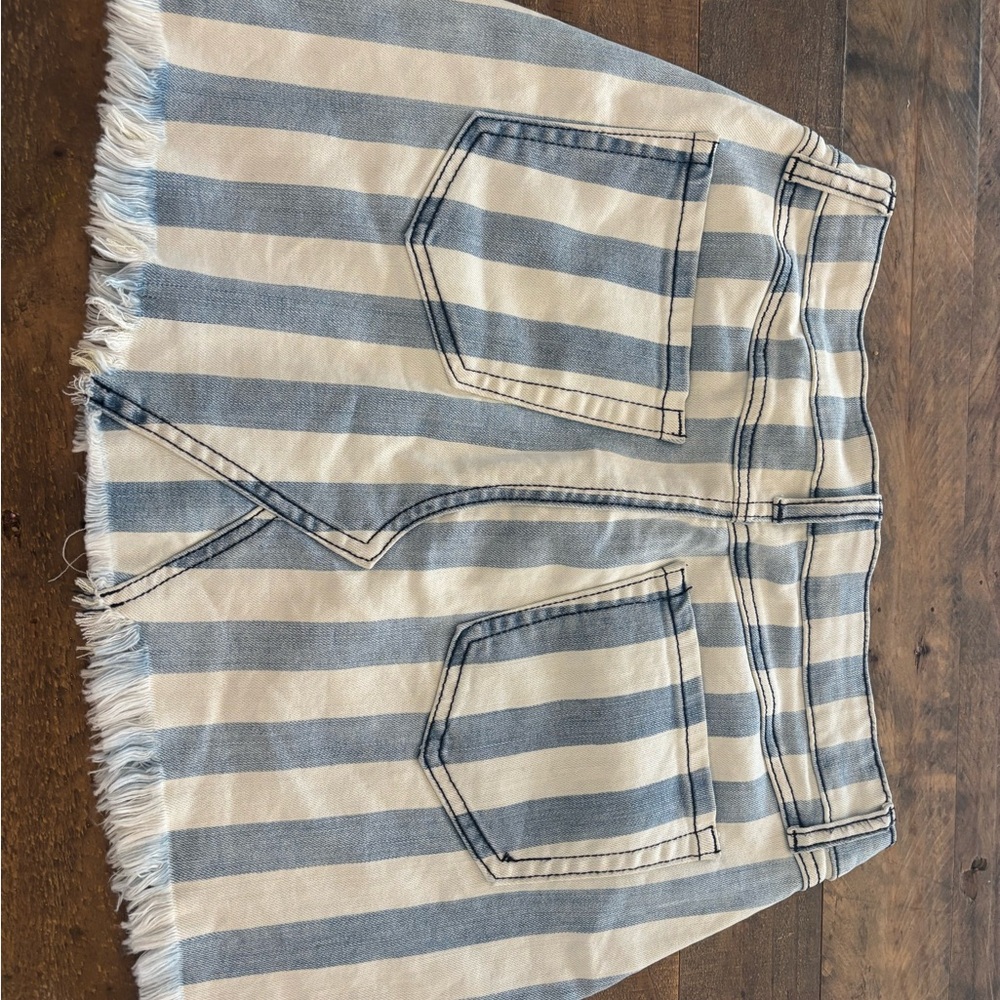 Striped Blue and White Women's Skirt
